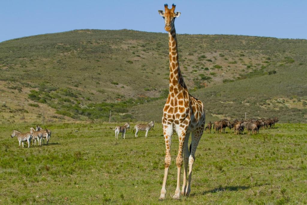 Nyaru Game Lodge Brandwag Exterior photo